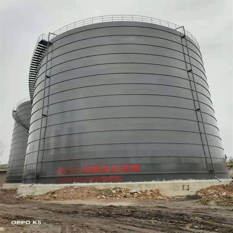 大足3万吨大型钢板库